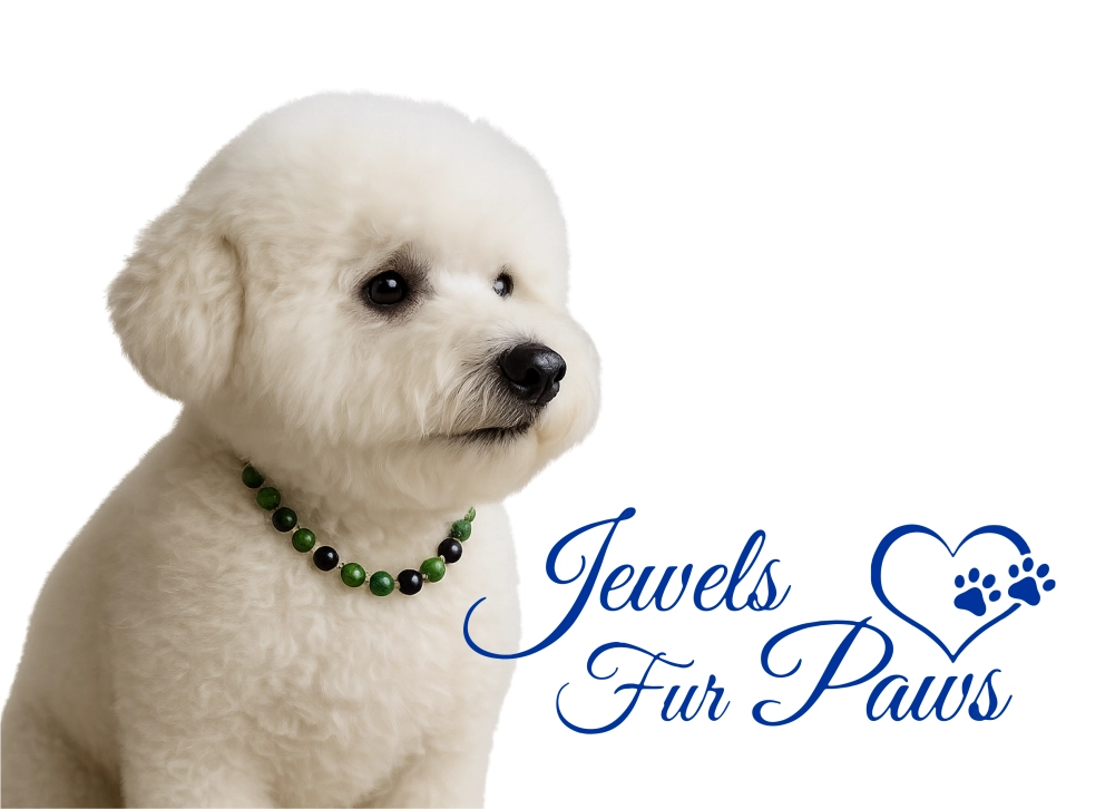 Jewels Fur Paws primary case study graphic